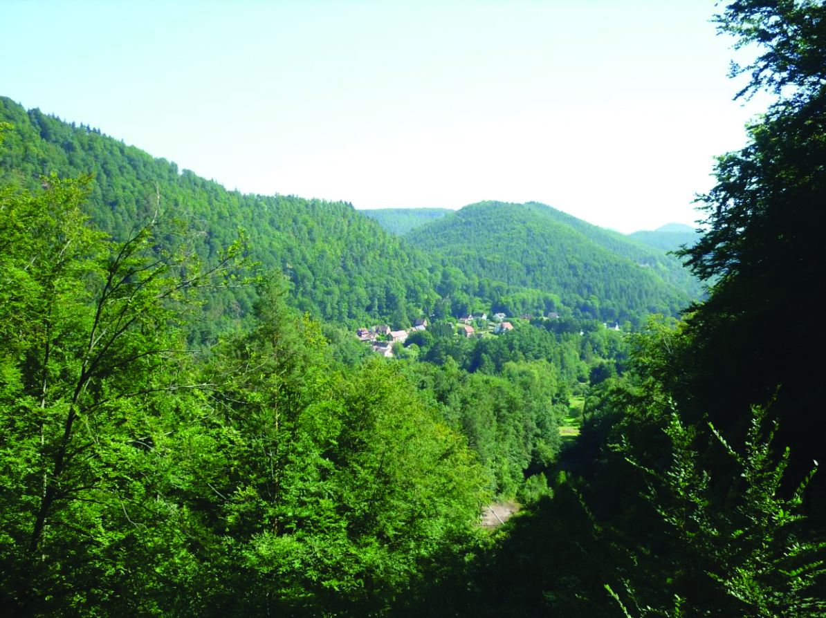 Grenzüberschreitende Trinkwasserverbindungsleitung von Schönau (D) zum Ortsteil Wengelsbach, Gemeinde Niedersteinbach (F)