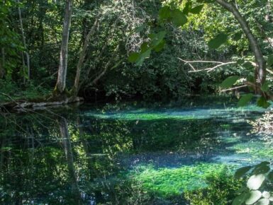 GRETA [GRoundwater EvoluTions and resilience of Associated biodiversity - Upper Rhine]