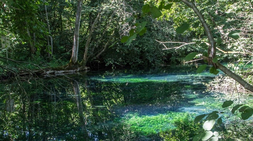GRoundwater EvoluTions and resilience of Associated biodiversity – Upper Rhine