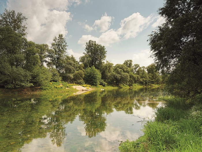 Strategien zur nachhaltigen Verringerung des Biozideintrags in das Grundwasser am Oberrhein