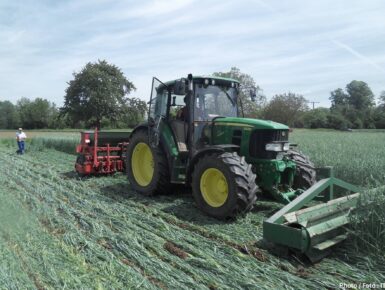 Entwicklung von Instrumenten für die Verbesserung der Wettbewerbsfähigkeit von ökologisch erzeugtem Obst und Gemüse aus dem Oberrheingebiet