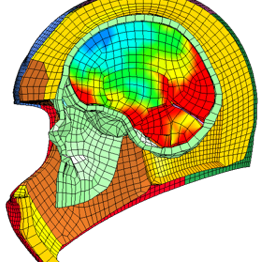 Biomechanik des Systems Schädel-Hirn-Halswirbelsäule