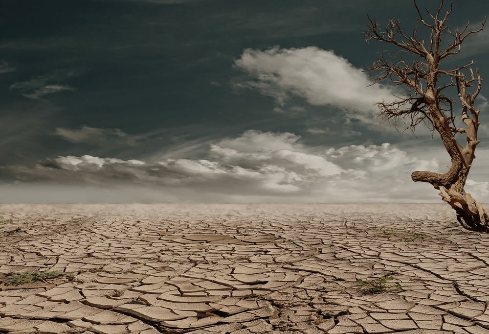 Entwicklung der Fähigkeiten der KMU/KMI am Oberrhein zur Anpassung an den Klimawandel