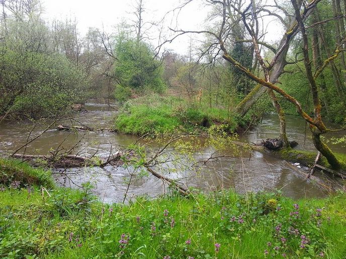 Vernetzung der Wassergewinnungsanlagen im Nordelsass und in der Südpfalz für eine nachhaltige Grundwasserbewirtschaftung