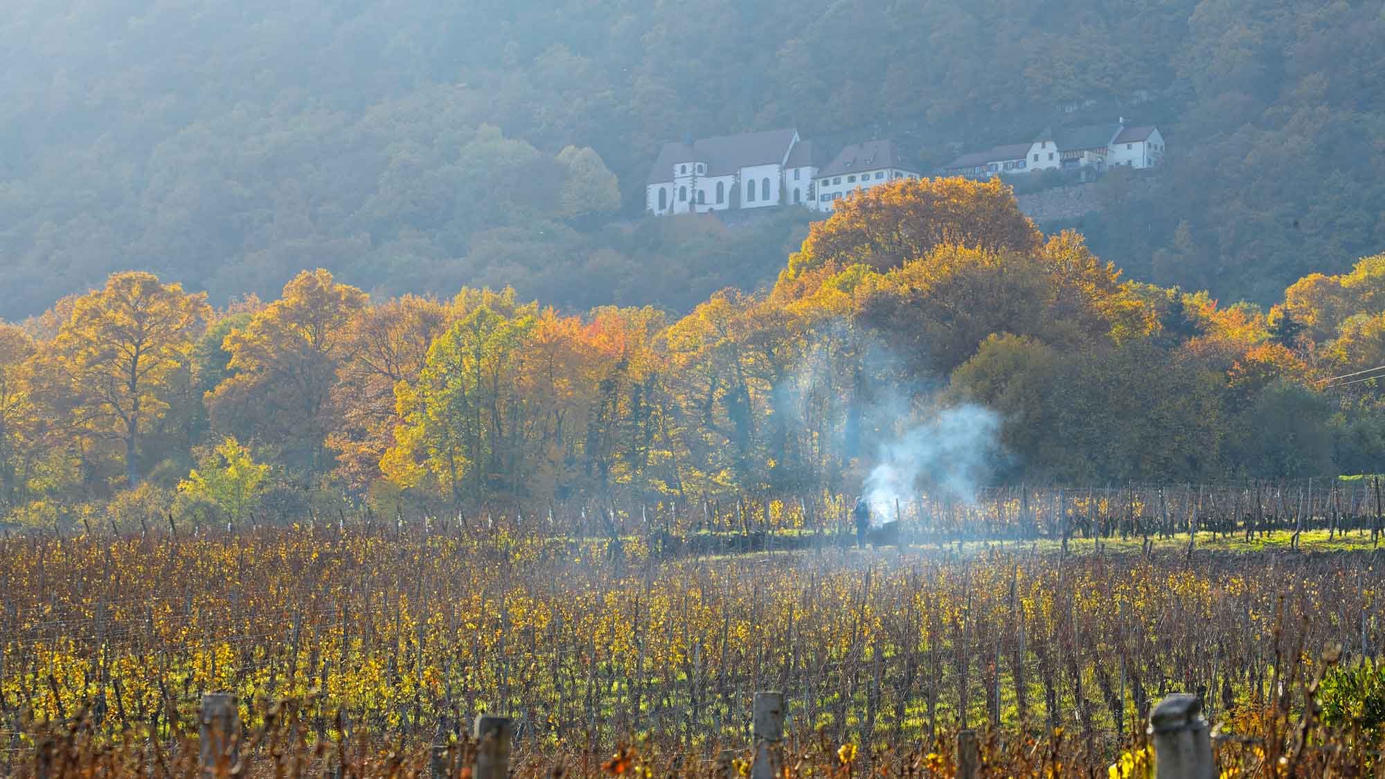 Tourismusprojekt „Mythische Orte am Oberrhein“