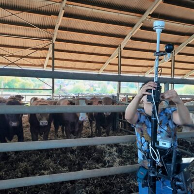 ResKuh: Viehzuchtbetriebe bei der Anpassung an den Klimawandel unterstützen