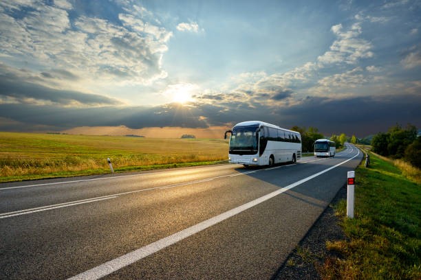 Für ein besseres Angebot im öffentlichen grenzüberschreitenden Nahverkehr des südlichen Oberrheins