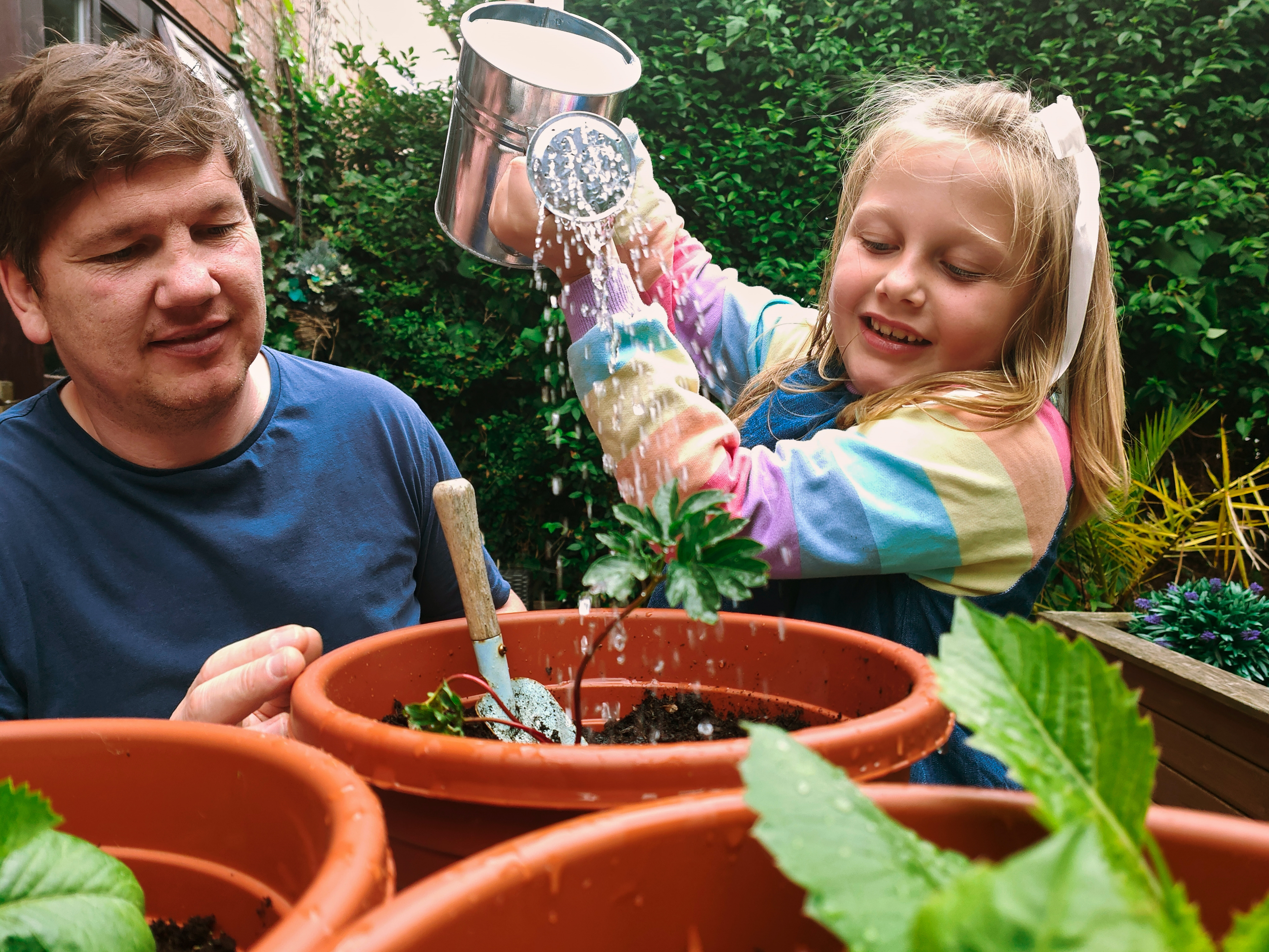 Biodiversität und Klimaanpassung in Gärten und Grünflächen im grenzüberschreitenden Biosphärenreservat Pfälzerwald-Nordvogesen