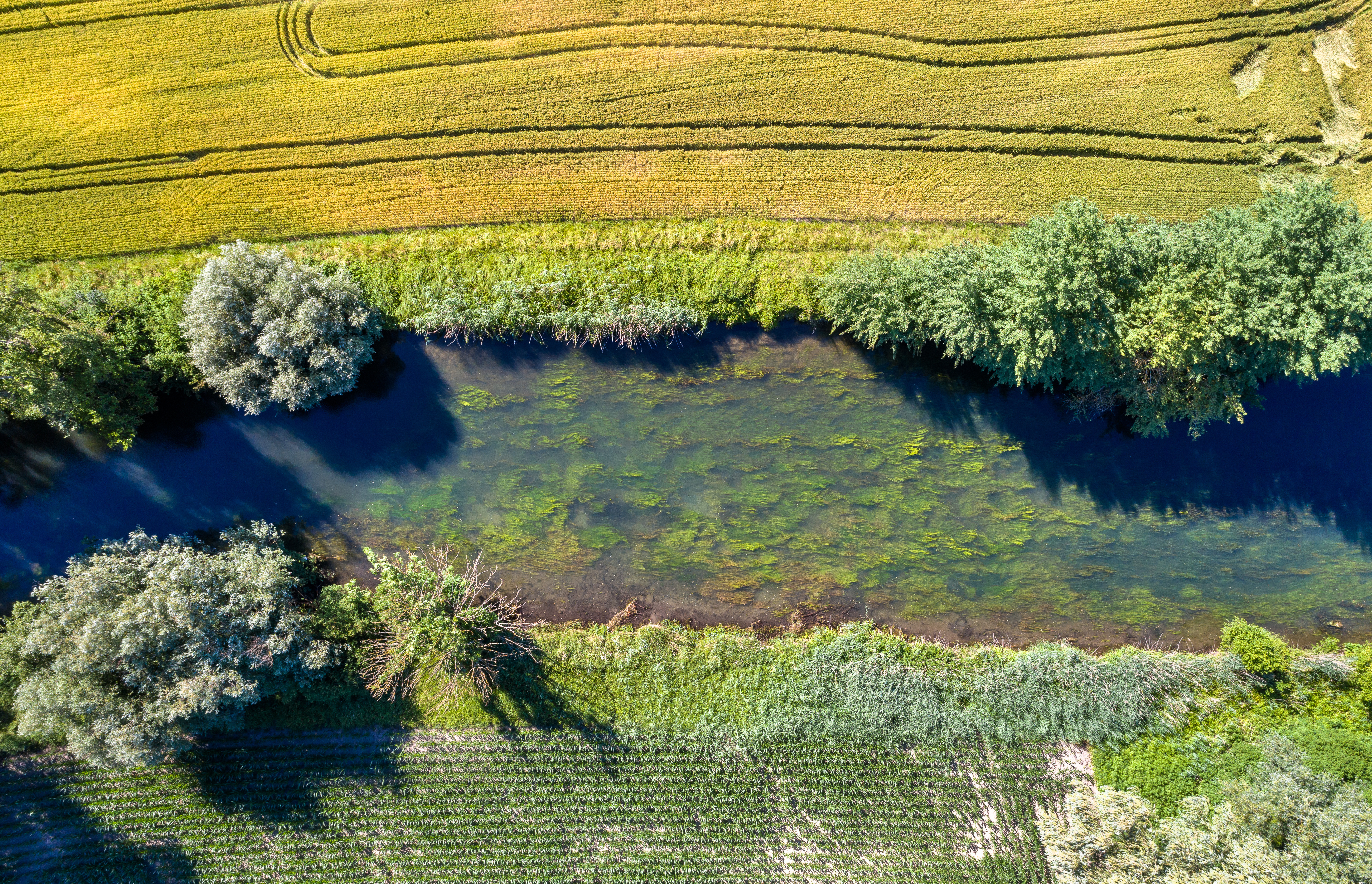 Ein Fluss verbindet Mensch und Natur: Grenzüberschreitender Gewässer-Informationspfad