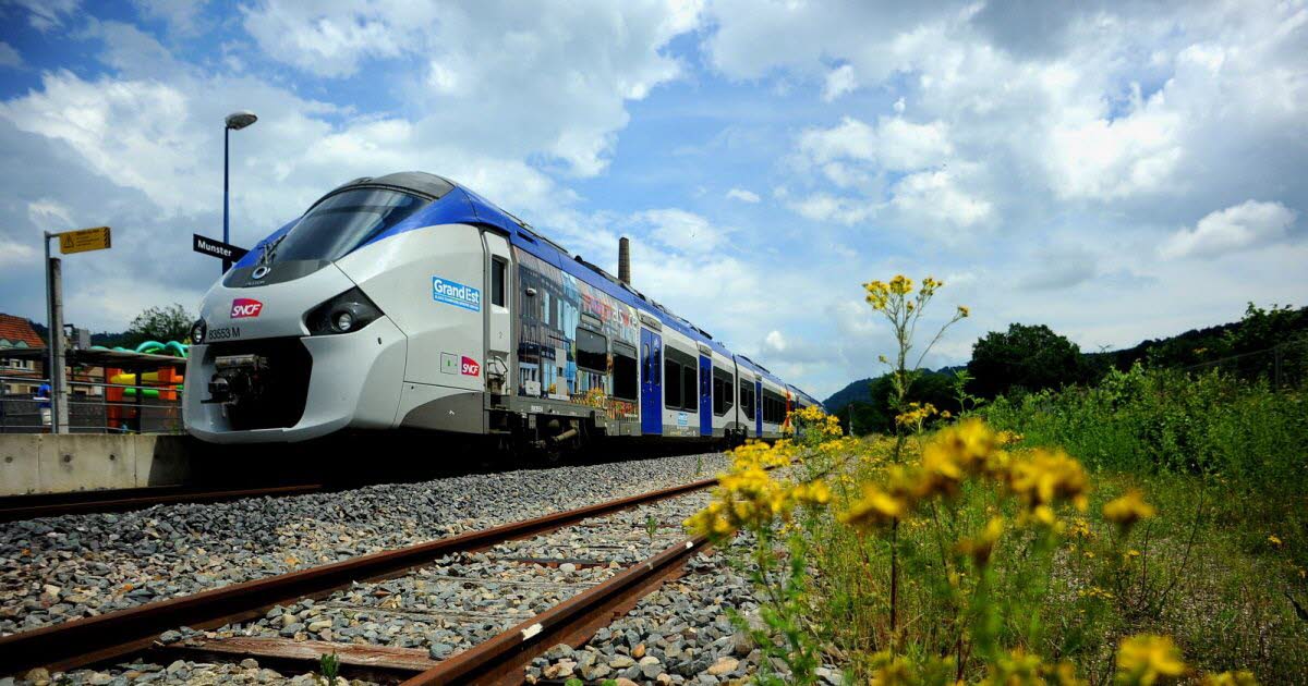 Bahnverbindung zwischen Freiburg und Colmar: Geschichte und in Zukunft