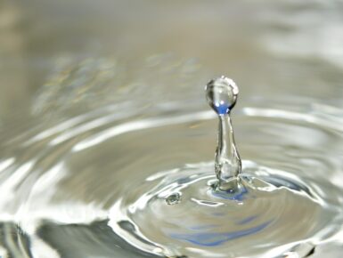 Konzertierte, nachhaltige Entwicklung und Verbesserung der Wasserqualität der Lauter durch den Bau einer grenzüberschreitenden Kläranlage