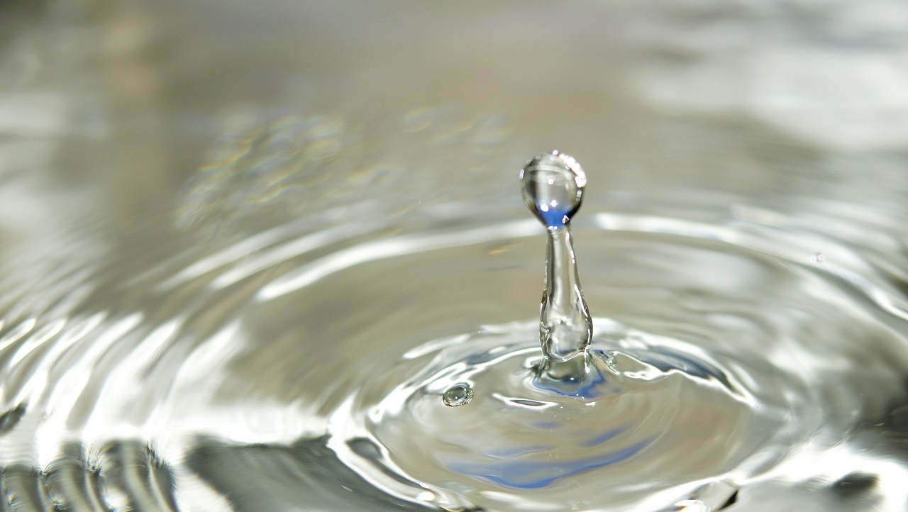 Konzertierte, nachhaltige Entwicklung und Verbesserung der Wasserqualität der Lauter durch den Bau einer grenzüberschreitenden Kläranlage