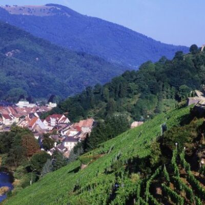 Internationales Destinationsmarketing UPPER RHINE VALLEY