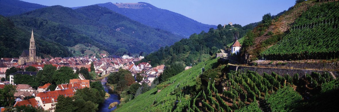 Internationales Destinationsmarketing UPPER RHINE VALLEY