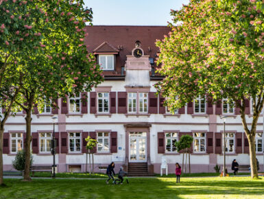 Errichtung eines grenzüberschreitenden Kompetenzzentrums