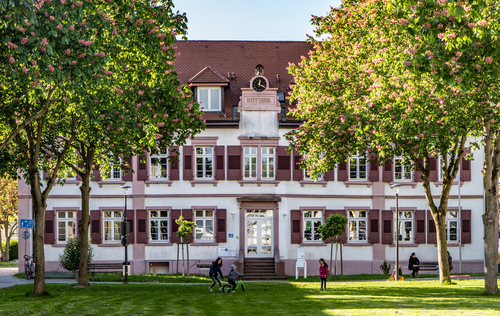 Errichtung eines grenzüberschreitenden Kompetenzzentrums