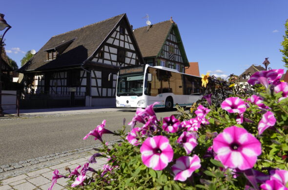 Schneller per Bus zwischen Rastatt, Seltz, Soufflenheim und Haguenau