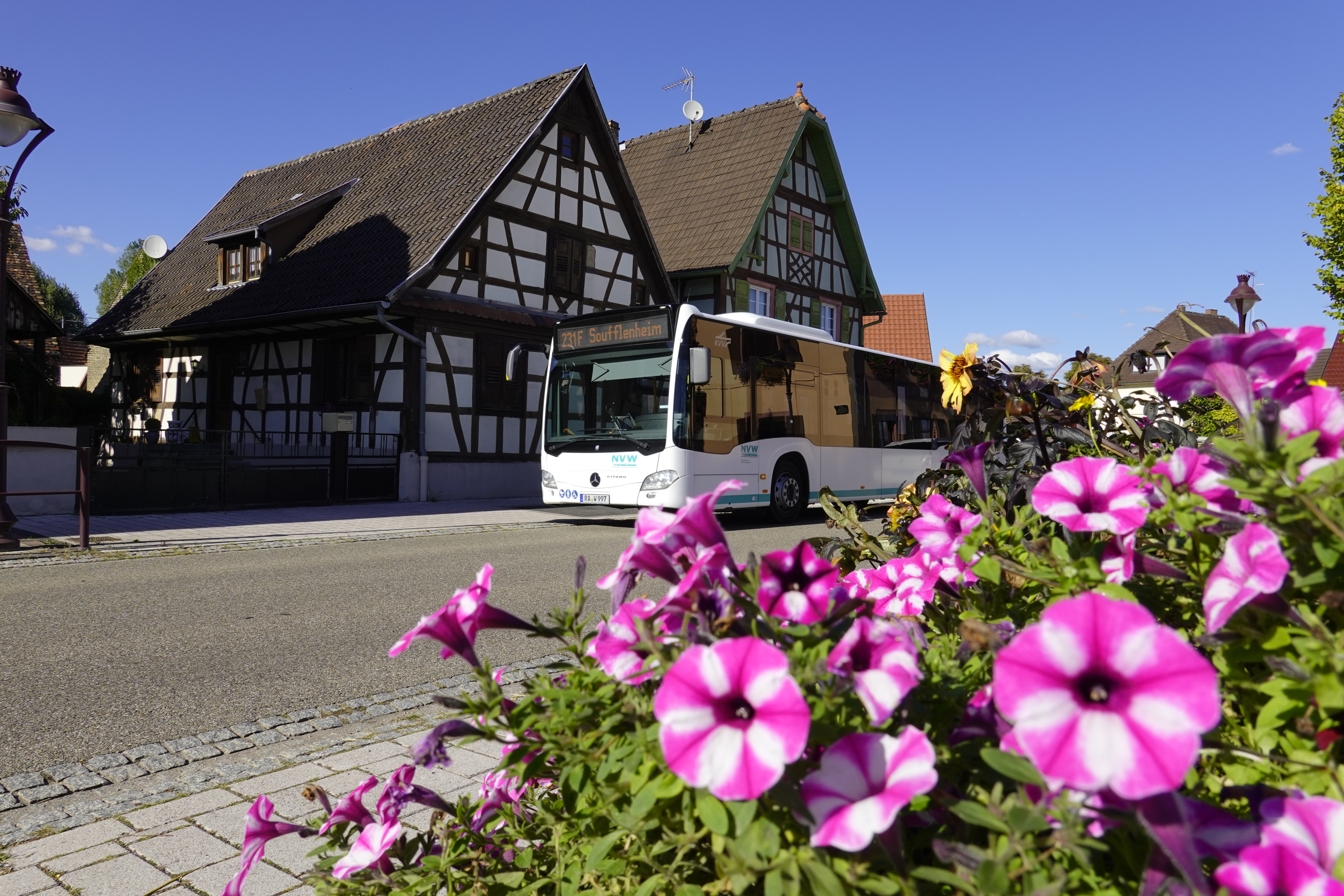 Schneller per Bus zwischen Rastatt, Seltz, Soufflenheim und Haguenau