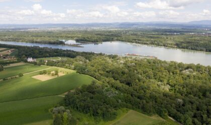 Machbarkeitsstudie zur Wiederherstellung einer Rheinpassage zwischen Schönau und Weisweil