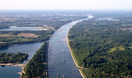 Renaturierung der Rheinauen zur Erhaltung von Arten und Landschaften