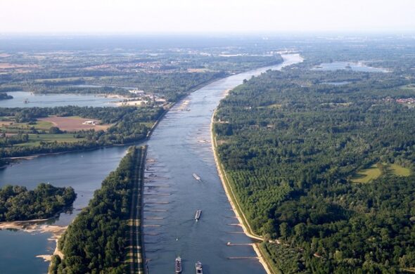 Renaturierung der Rheinauen zur Erhaltung von Arten und Landschaften