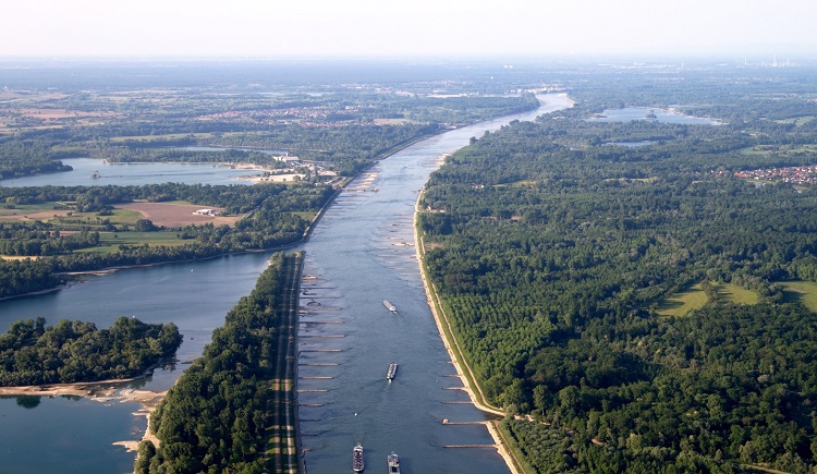Renaturierung der Rheinauen zur Erhaltung von Arten und Landschaften