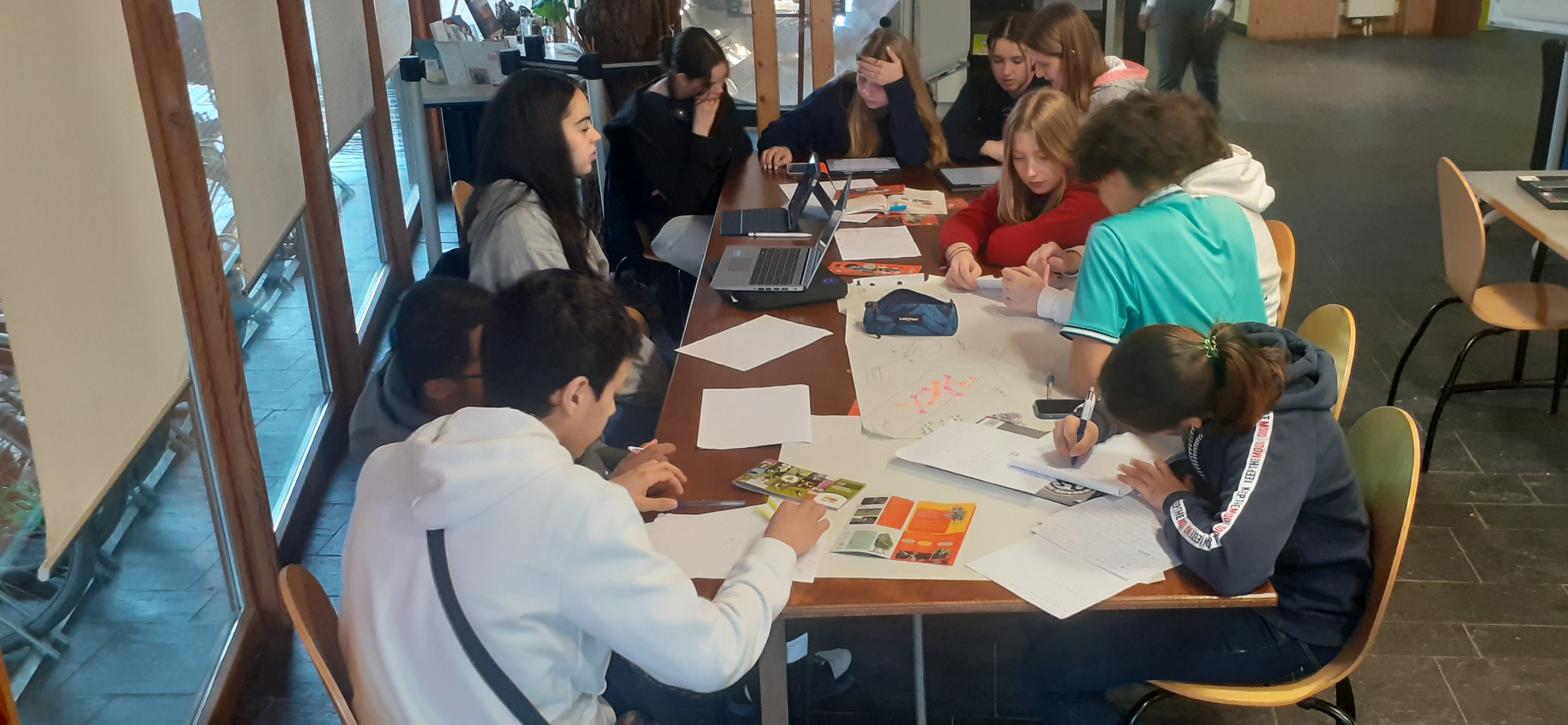 Grenzüberschreitende Schulen/Betriebe Tandem