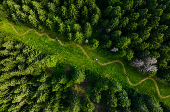 Ein grenzüberschreitendes Netzwerk für Trailrunning und Berglauf am Oberrhein