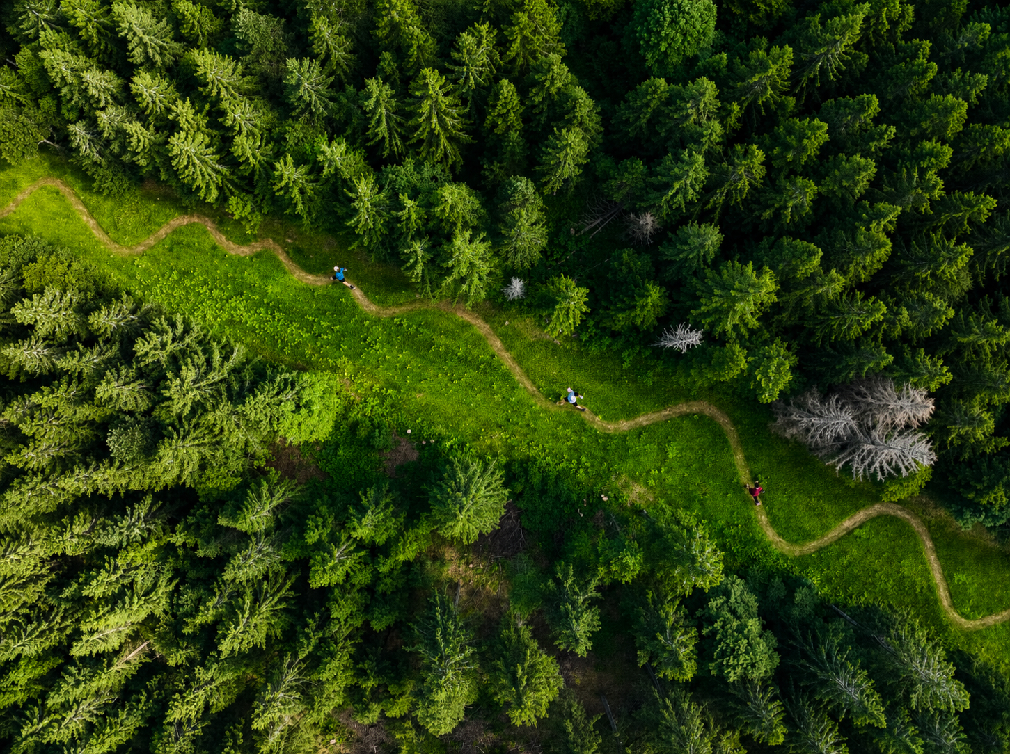 Ein grenzüberschreitendes Netzwerk für Trailrunning und Berglauf am Oberrhein