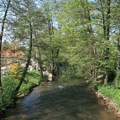 RiverDiv: Schutz des aquatischen Diversität und Verringerung der Gewässerverschmutzung an der Wieslauter - Klimawandelangepasstes Management