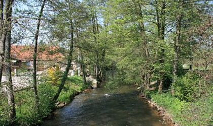 Schutz des aquatischen Diversität und Verringerung der Gewässerverschmutzung an der Wieslauter - Klimawandelangepasstes Management