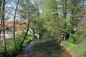 Schutz des aquatischen Diversität und Verringerung der Gewässerverschmutzung an der Wieslauter – Klimawandelangepasstes Management